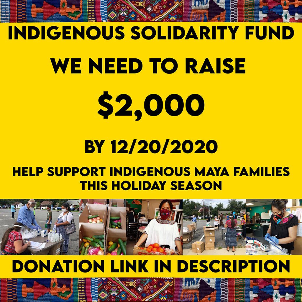 Indigenous Solidarity Fund: Help Support Indigenous Maya Families This Holiday Season